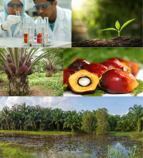 sustainable oil fat solutions for your business