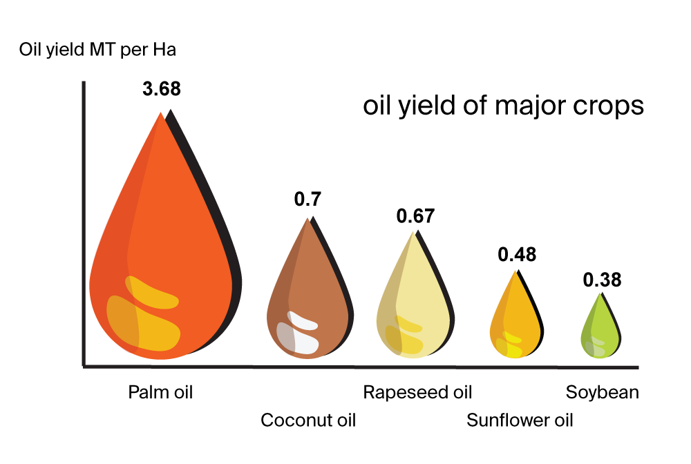 Shaping the Future of Palm Oil
