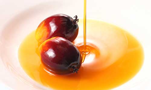 Shaping the Future of Palm Oil